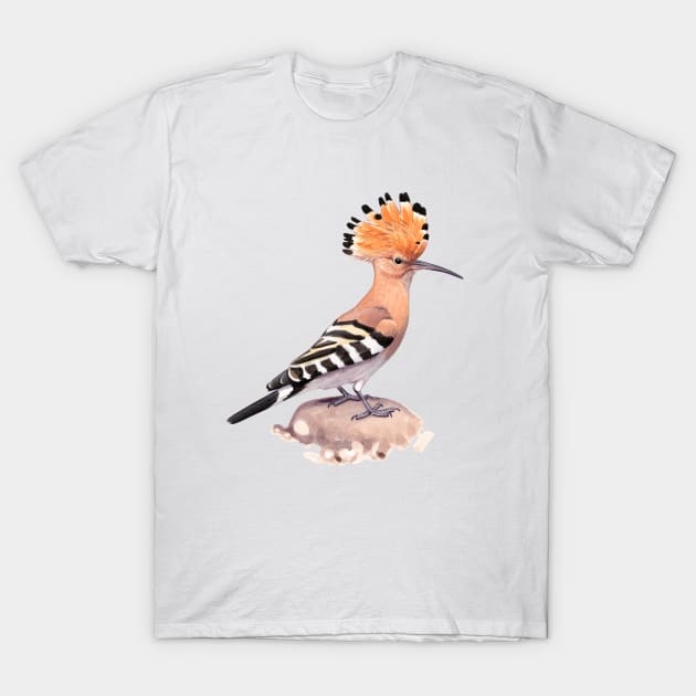 Eurasian Hoopoe T-Shirt by kokayart